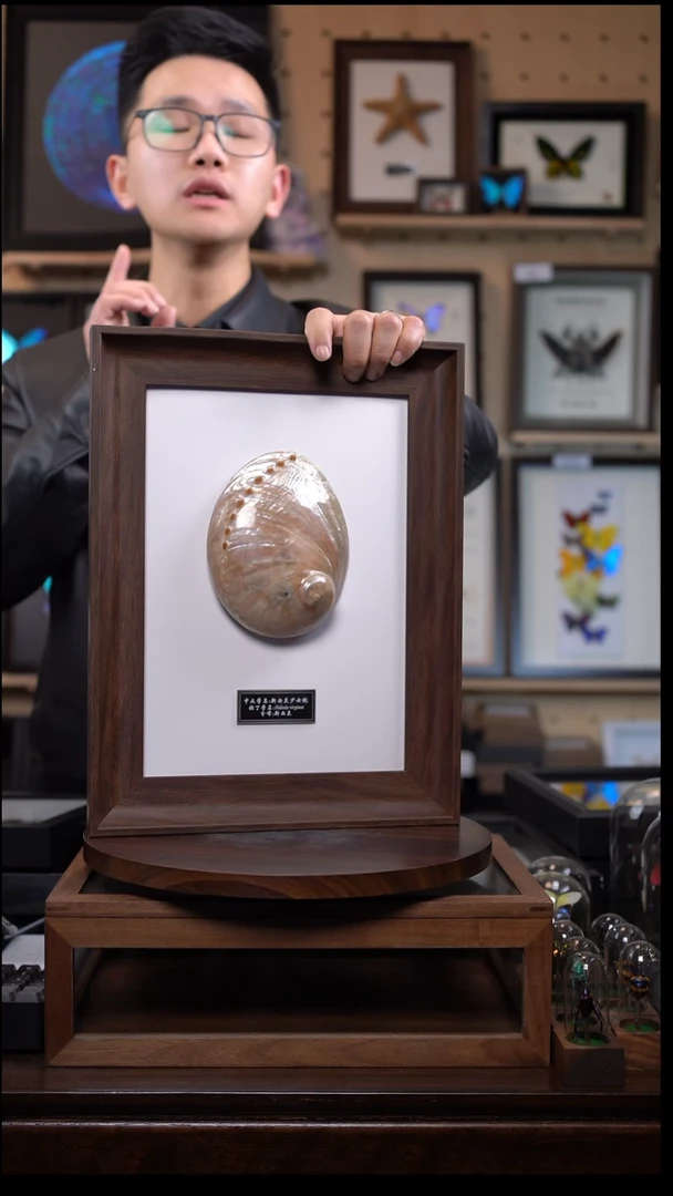 新西兰少女鲍m14