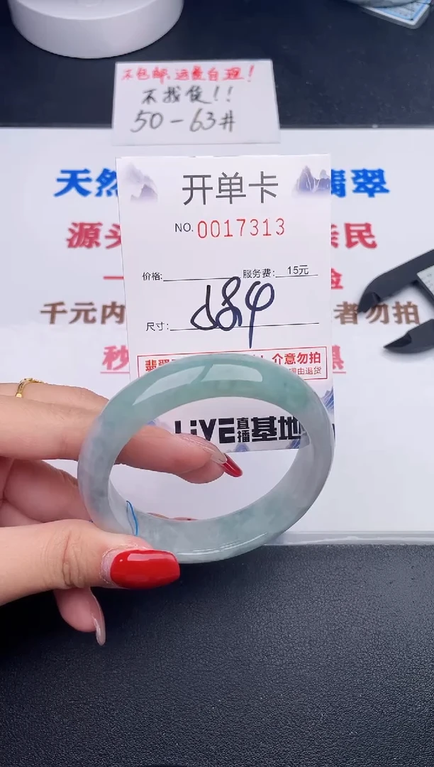 未镶嵌手镯翡翠13