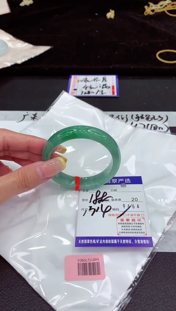 未镶嵌手镯翡翠11111111