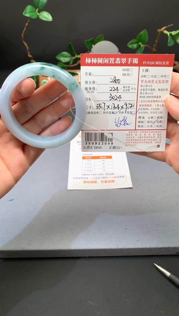 未镶嵌手镯翡翠中姐姐250922049
