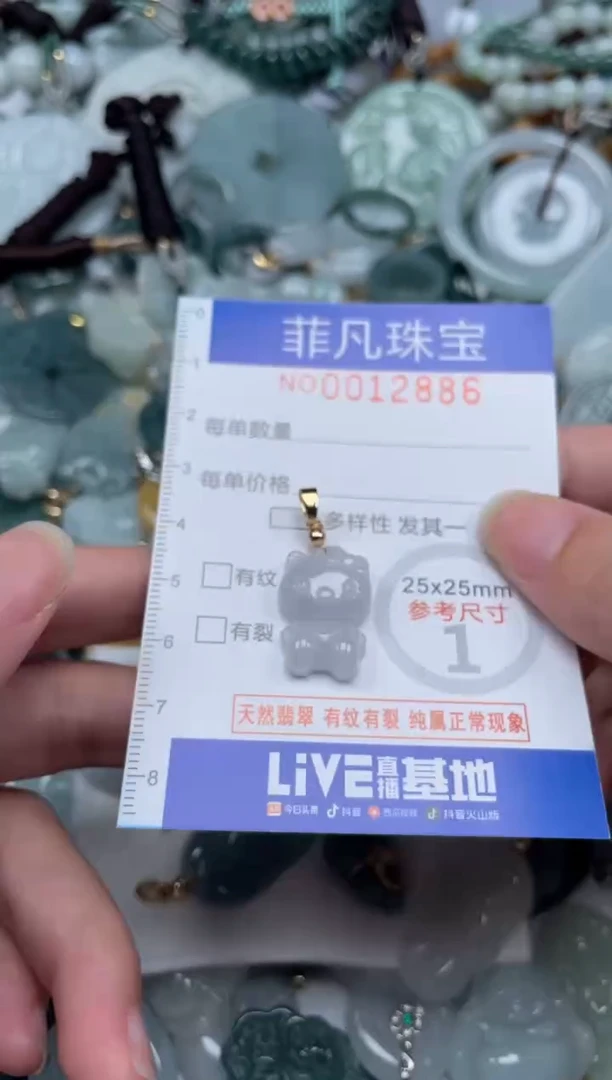 颈饰未镶嵌翡翠12886