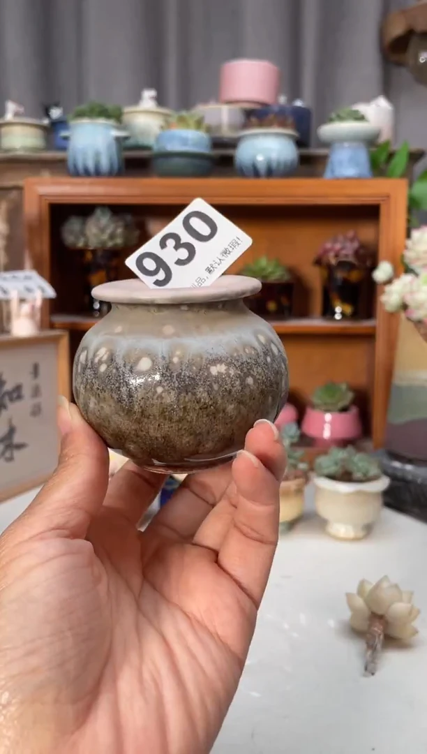 瓷片930小芳直播编号