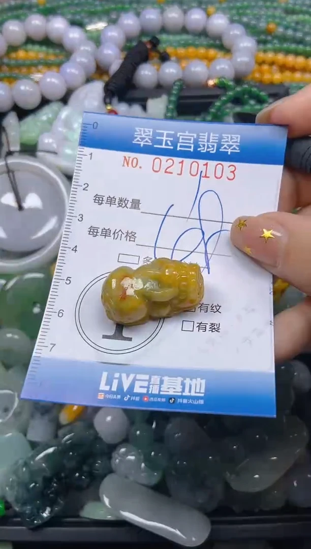 颈饰未镶嵌翡翠闪购C0210103