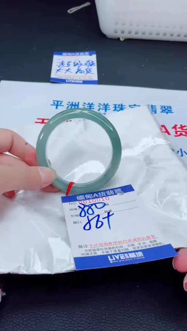 未镶嵌手镯翡翠我2