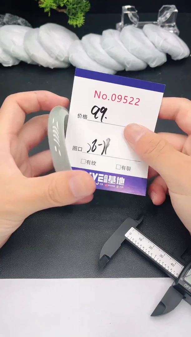 未镶嵌手镯翡翠9522