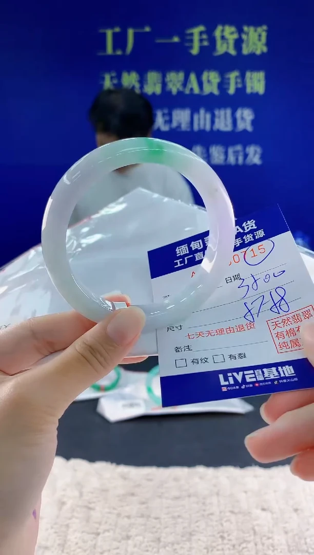 未镶嵌手镯翡翠15