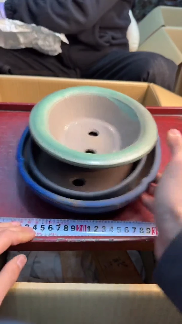 茶盏8888888888     649
