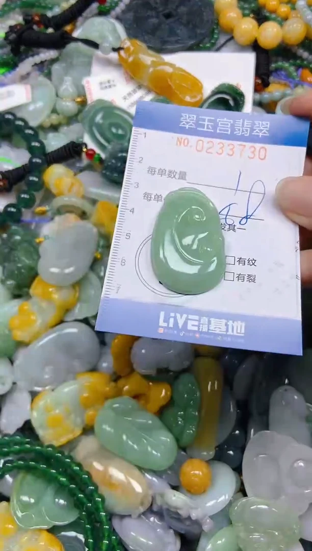 颈饰未镶嵌翡翠闪购C0233730