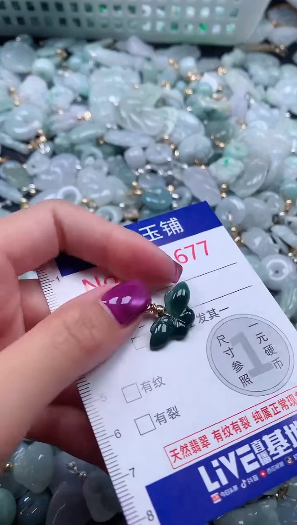 颈饰未镶嵌翡翠1677