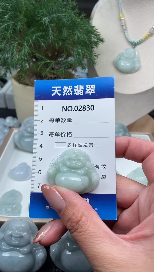 颈饰未镶嵌翡翠纯天然A货缅翡2830