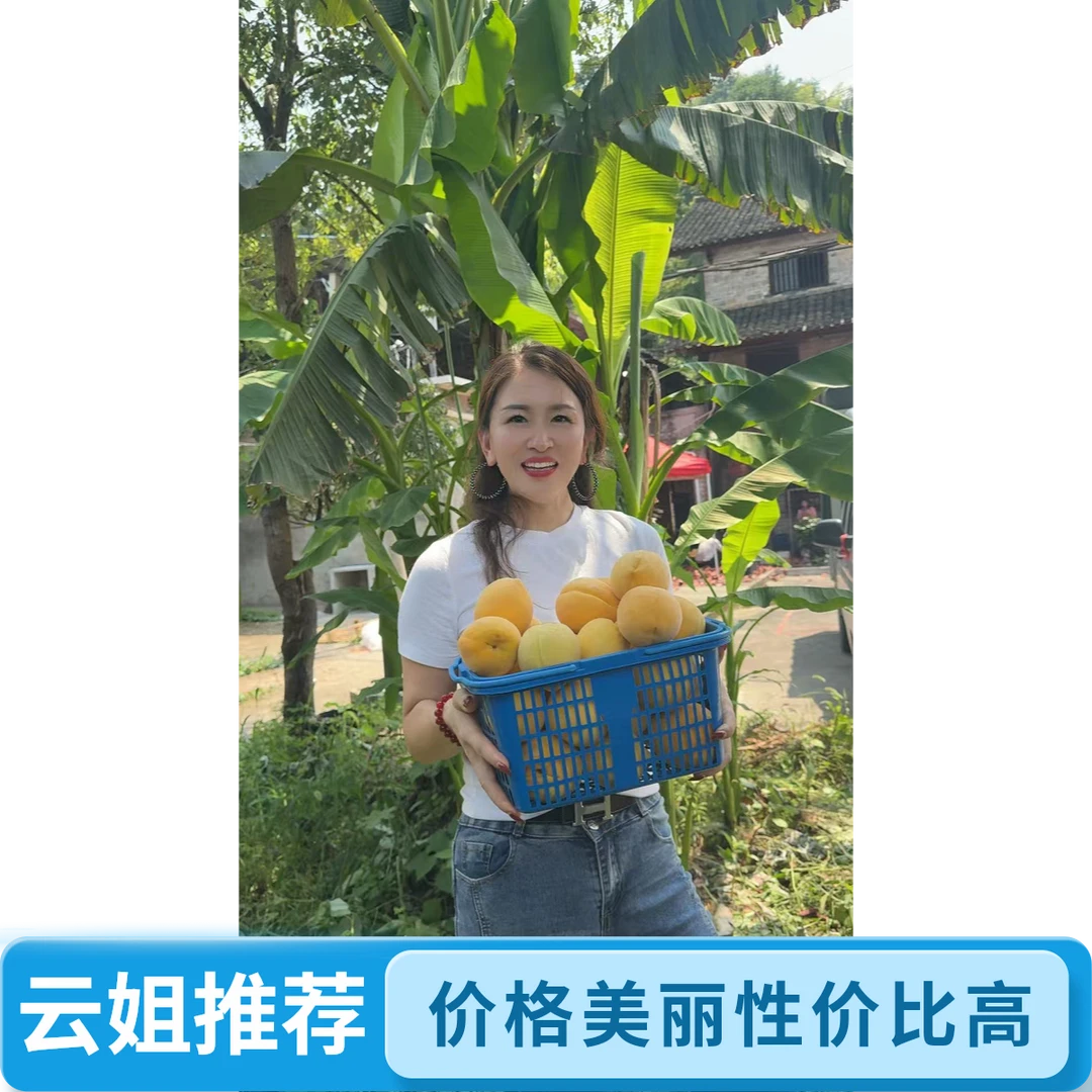 【云姐专属】新化高山黄桃香甜多汁现摘新鲜当季水果