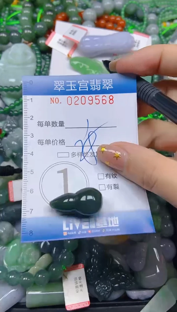 颈饰未镶嵌翡翠闪购C0209568
