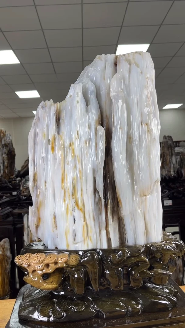 【闪购商品】硅化玉珠宝奇石未镶嵌1