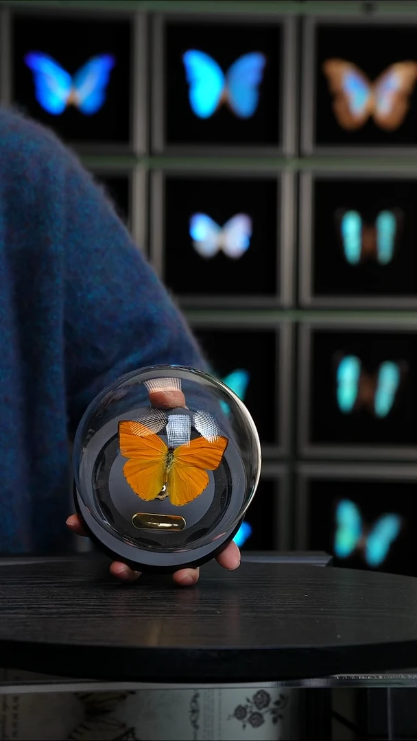 杏菲粉蝶小号玻璃球款