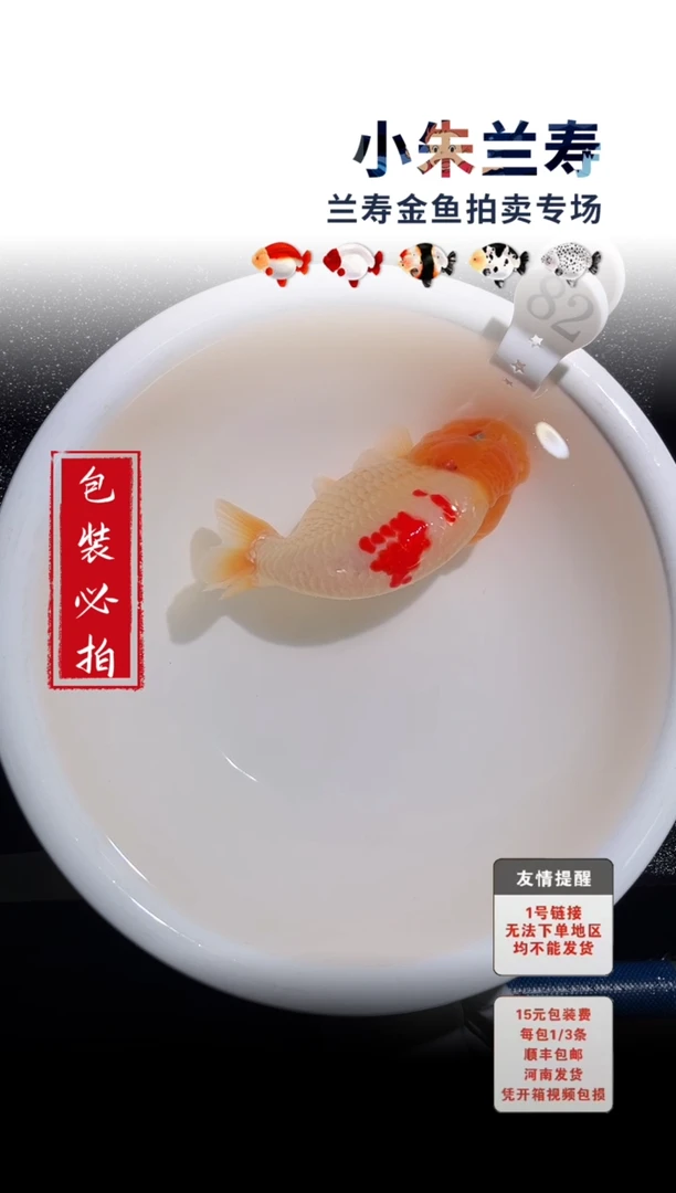 金鱼包装必拍未拍顺丰到付82号