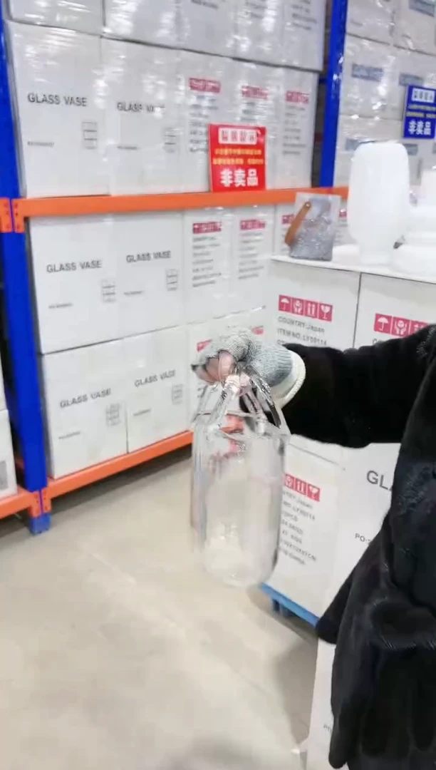 【闪购商品】琉璃透明手提包