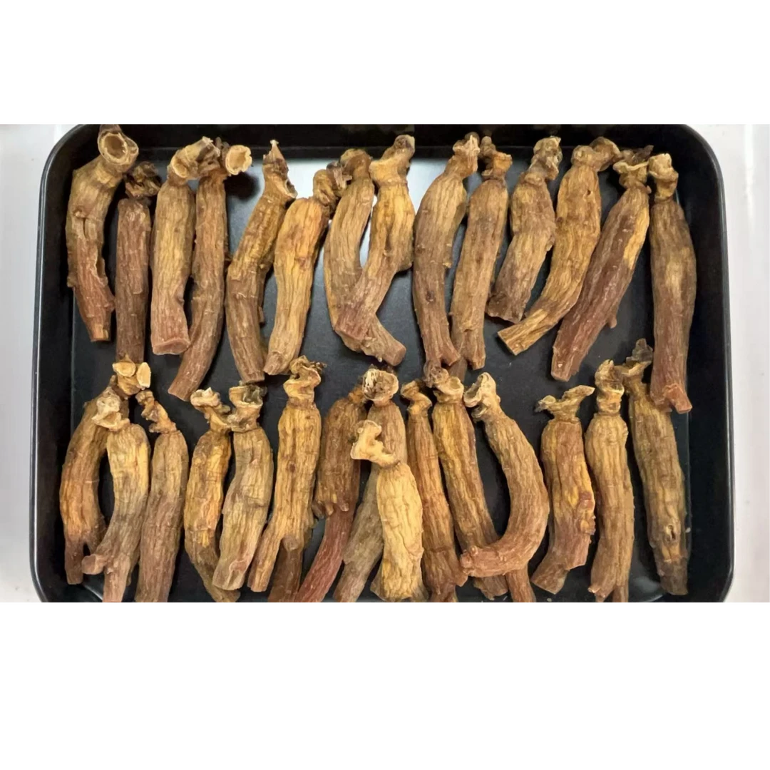 高丽参种子种植在深山老林的一款