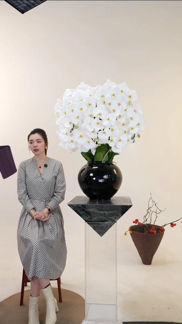 全部花朵005一物一拍蝴蝶兰盆景