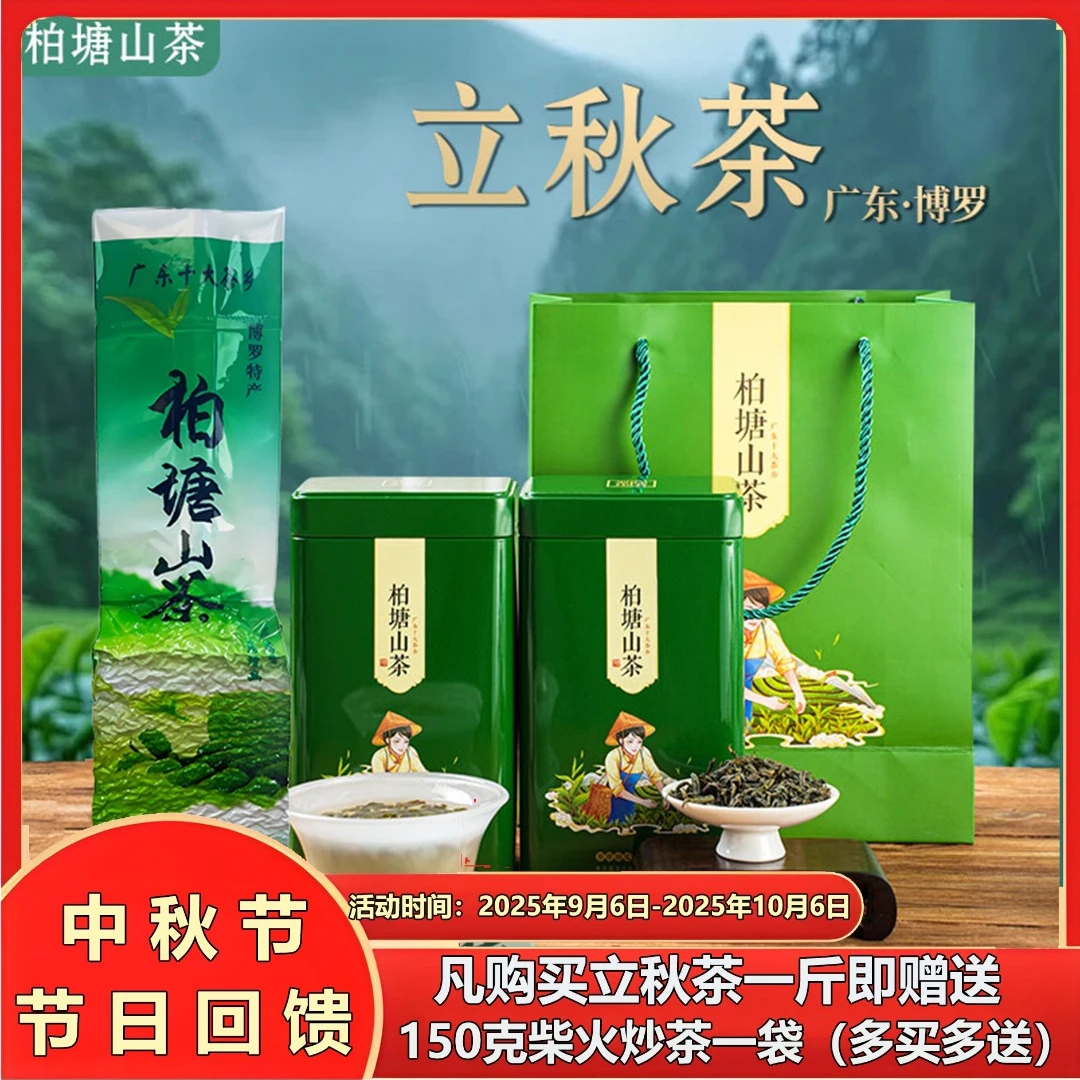 正宗柏塘山茶立秋茶茶婆手工炒茶柴火客家炒青绿茶惠州博罗特产