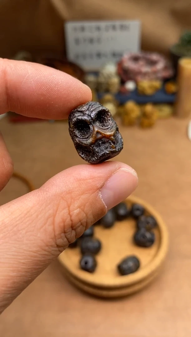 【闪购商品】牛骨其他P550-满髓尸驼林