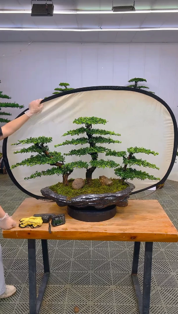 无花朵一物一拍一物一拍