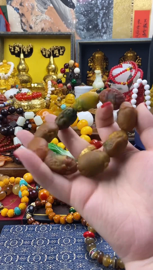 其他贝壳【琳琅甄选品质好物】
