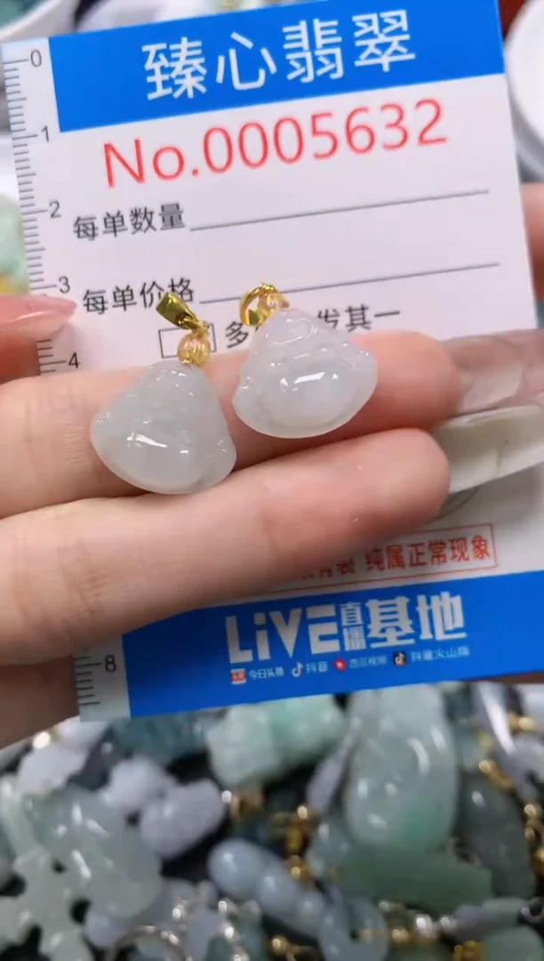 翡翠未镶嵌颈饰5632