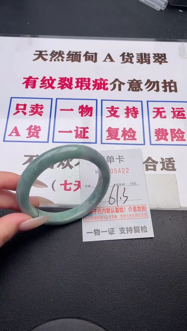 未镶嵌手镯翡翠22