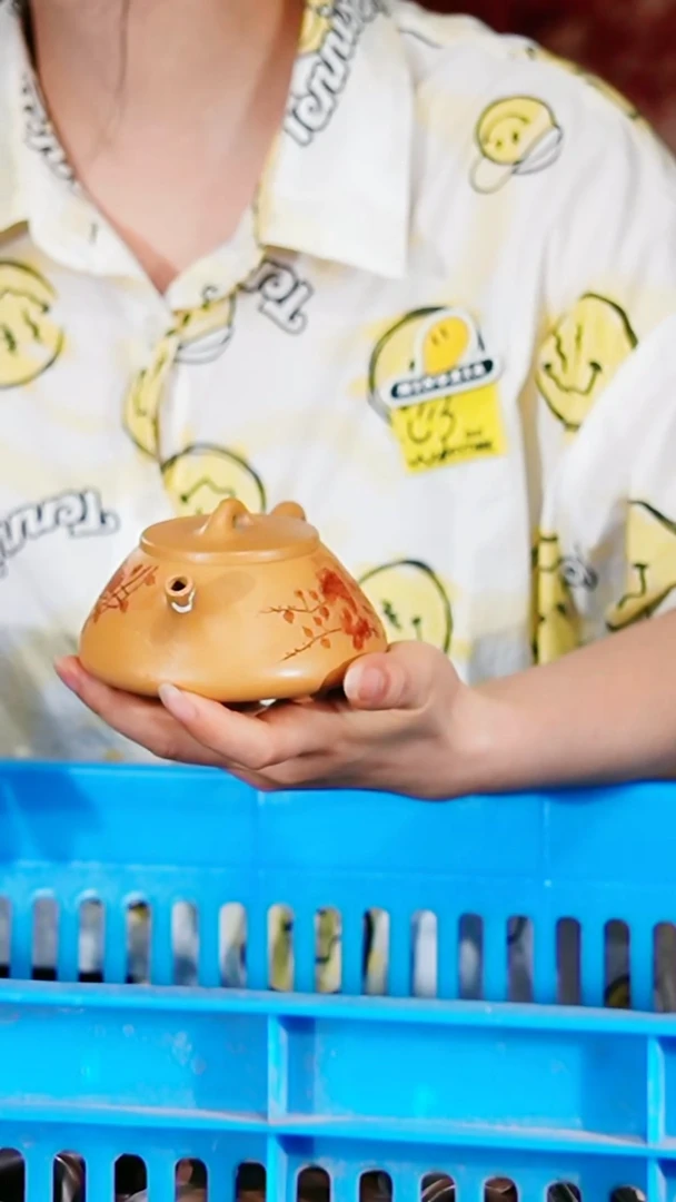 宜兴原矿紫砂壶茶壶200C