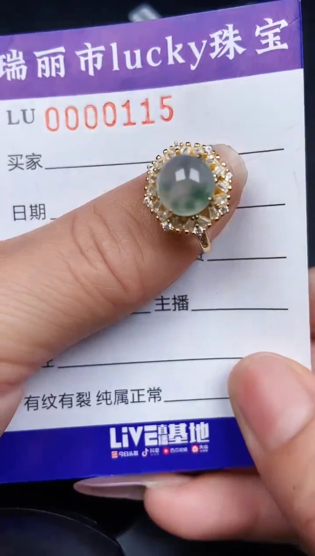 翡翠银S925镶嵌颈饰0115