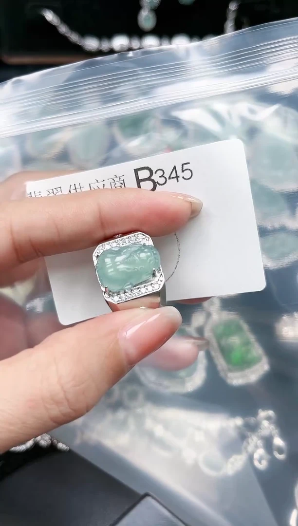【闪购商品】翡翠颈饰未镶嵌赠皮绳345