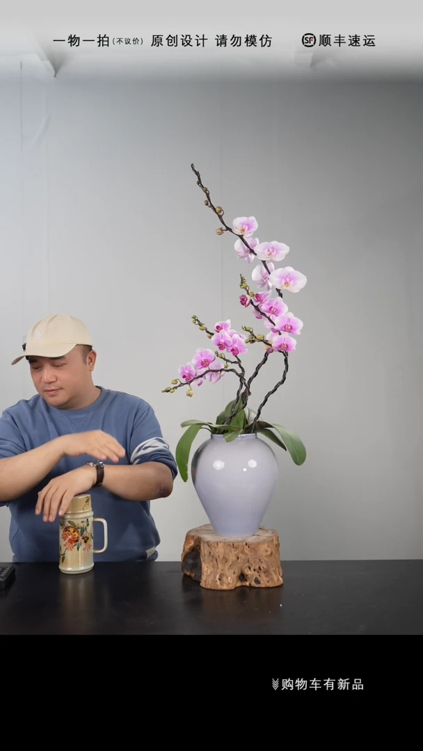 【闪购商品】066号链接【一物一拍】艺术盆景