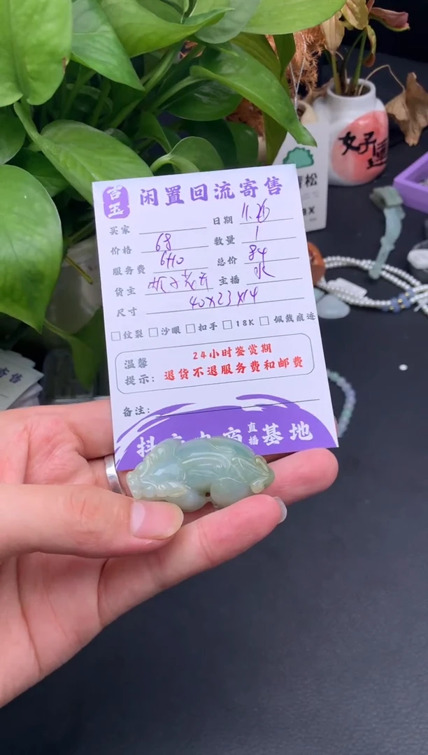 颈饰未镶嵌翡翠挂件