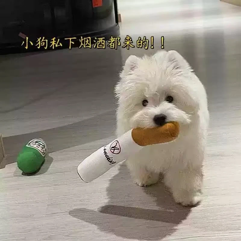 宠物狗狗仿香烟毛绒玩具自嗨解闷磨牙耐咬棒小狗金毛小中型犬玩偶