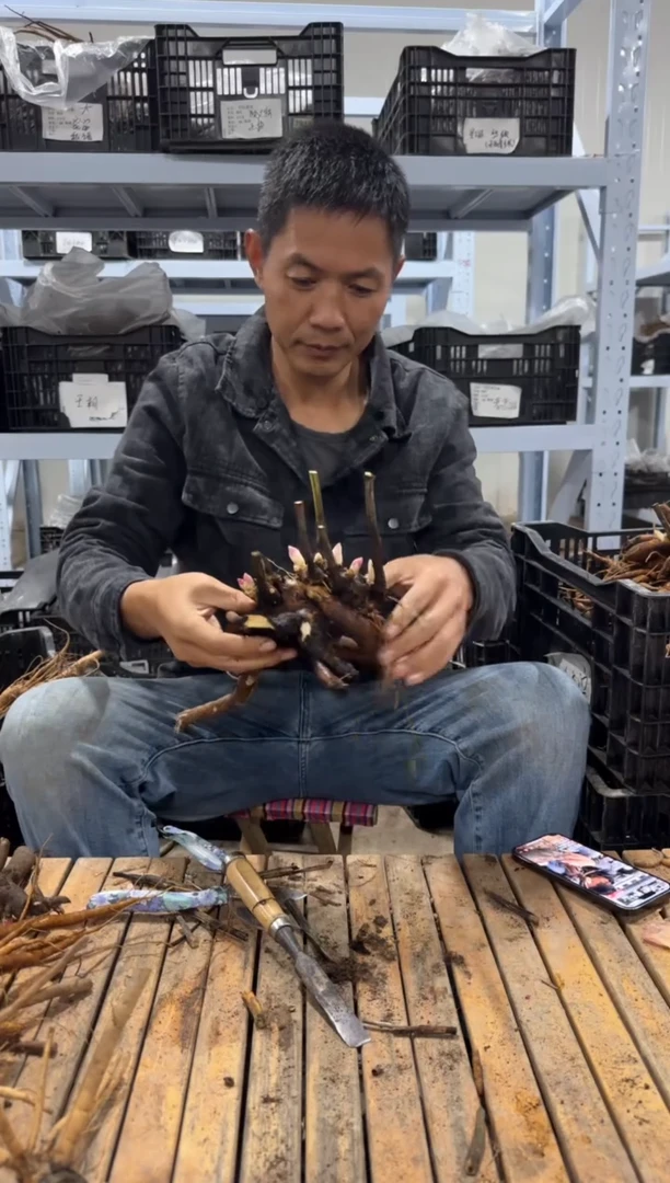 l****0520  29.9  不知道