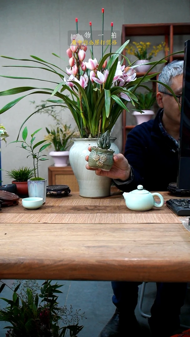 完全开放逆*065狼爪