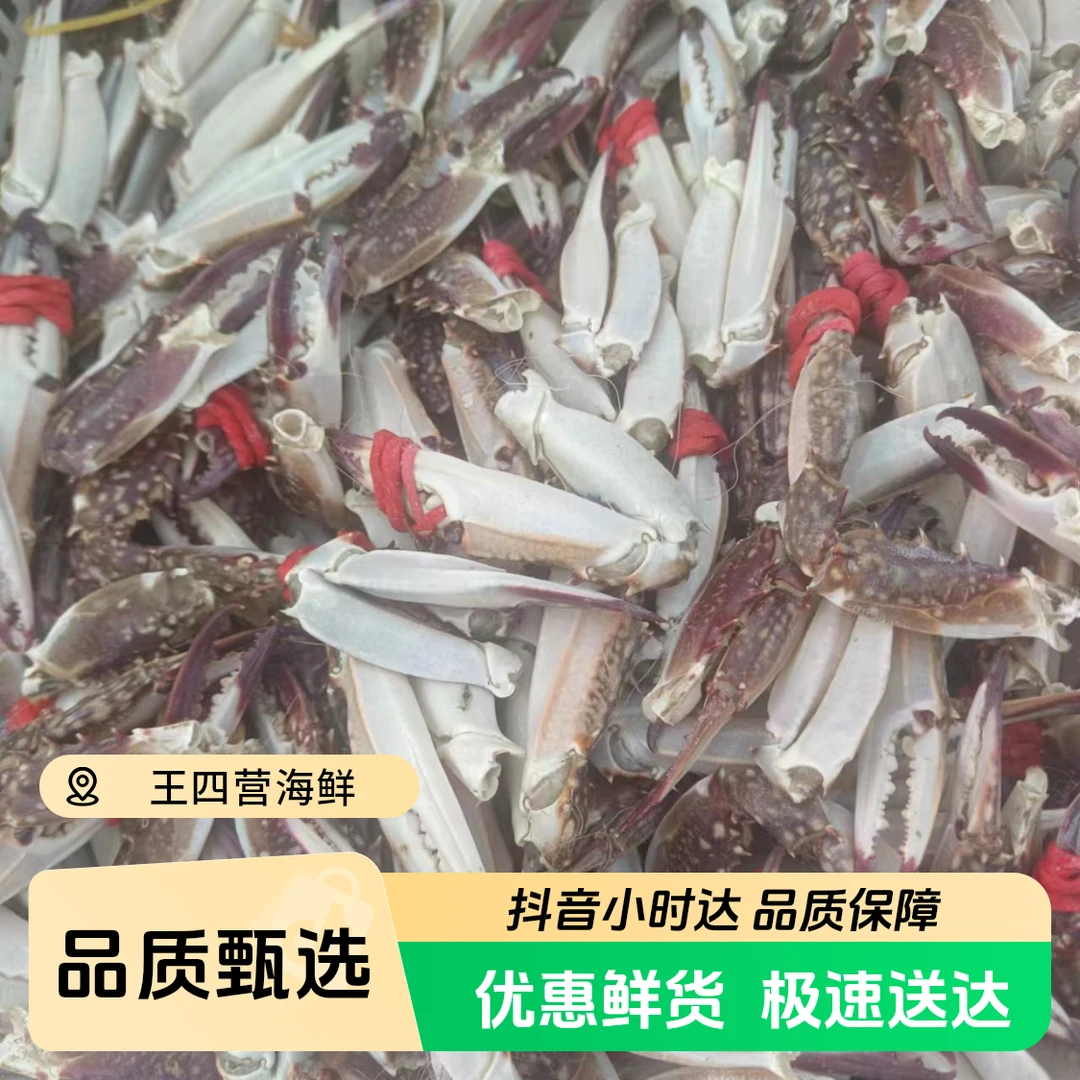 4斤 蟹钳蟹腿