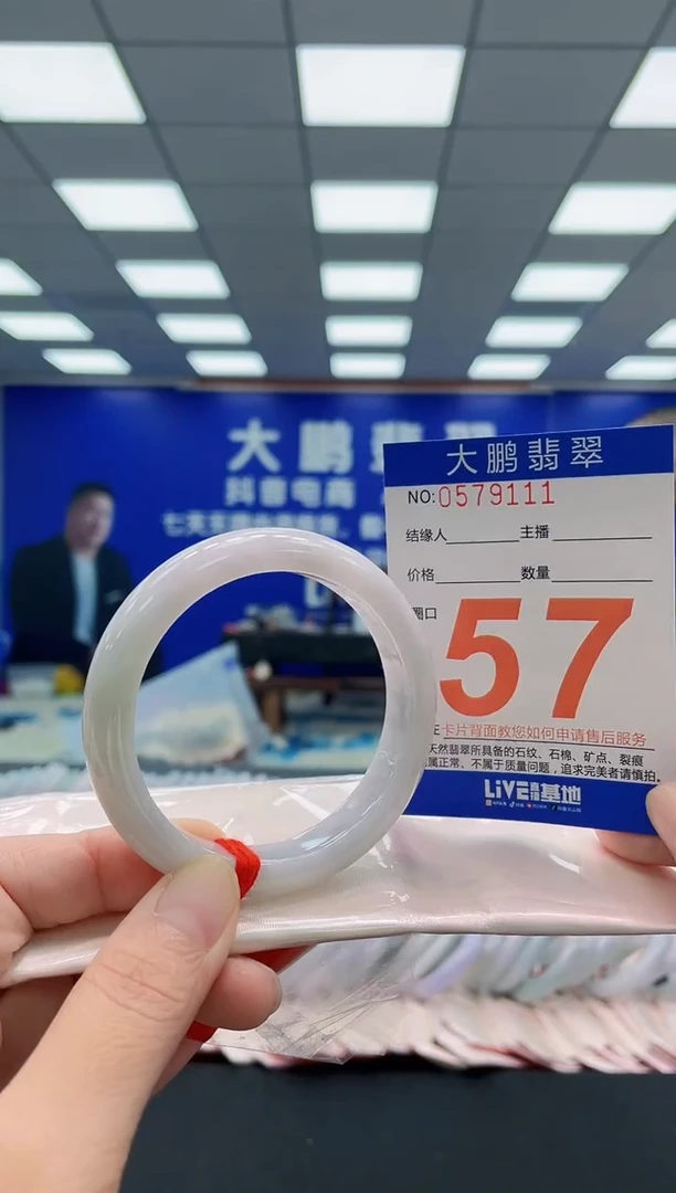 未镶嵌手镯翡翠AAAAAAAAA