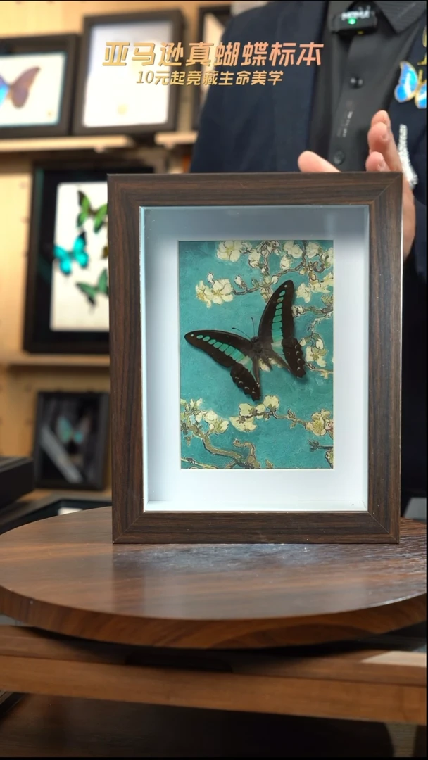 青凤蝶8寸复古框腊梅款