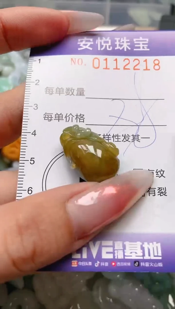 【闪购商品】翡翠颈饰未镶嵌闪购0112218