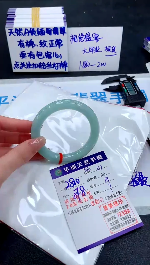 未镶嵌手镯翡翠11111111