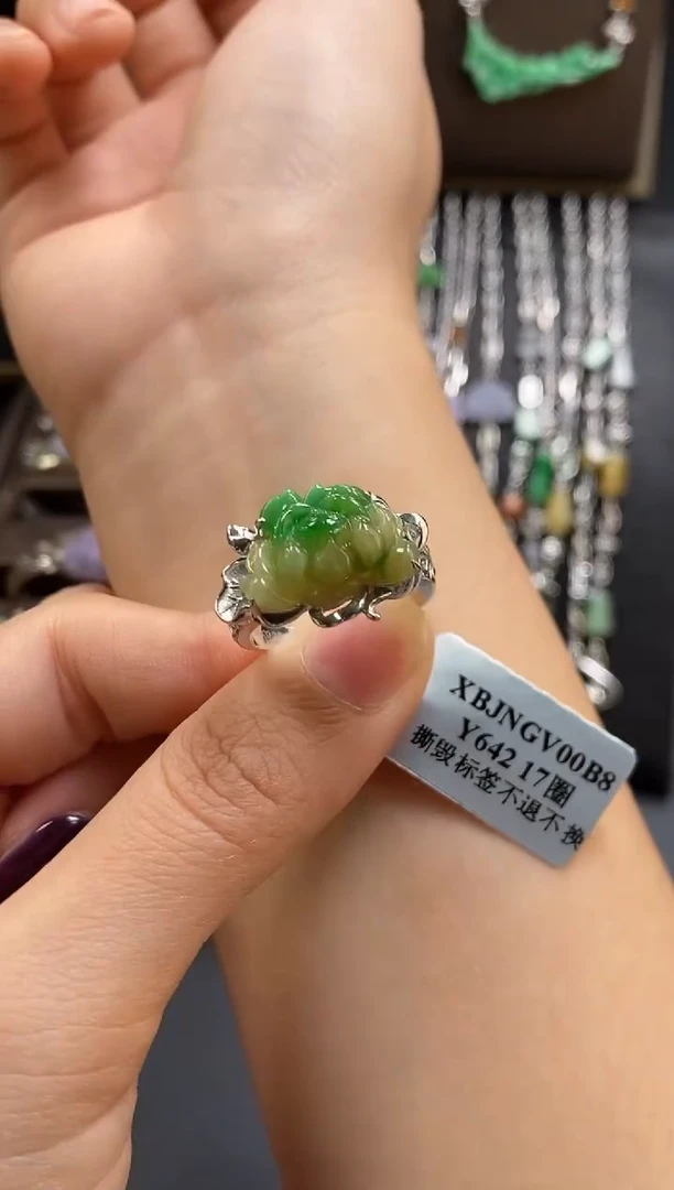 颈饰银S925镶嵌翡翠净货16969