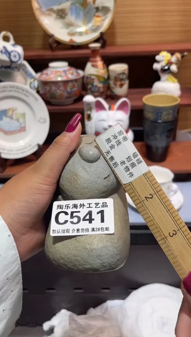 瓷片温***?              C541