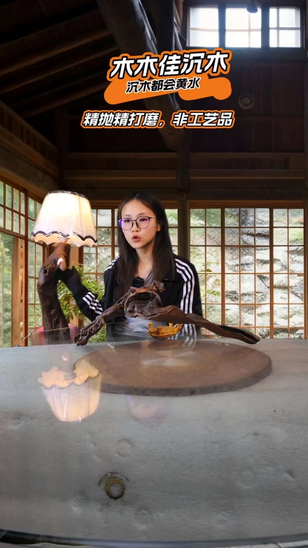 8****7木木佳沉木鱼缸造景