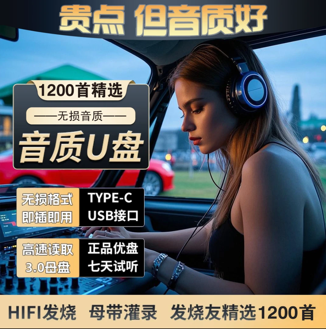 歌曲u盘2025新款车载音乐U盘流行歌曲经典老歌dj车载DJ无损音质