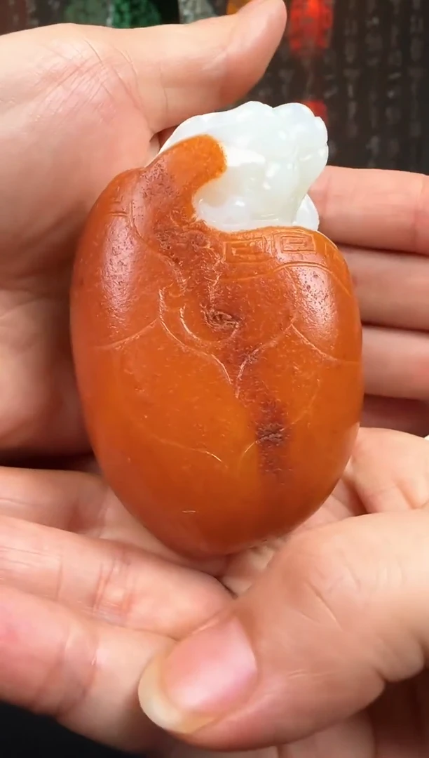 和田玉未镶嵌把件大**成龙龟