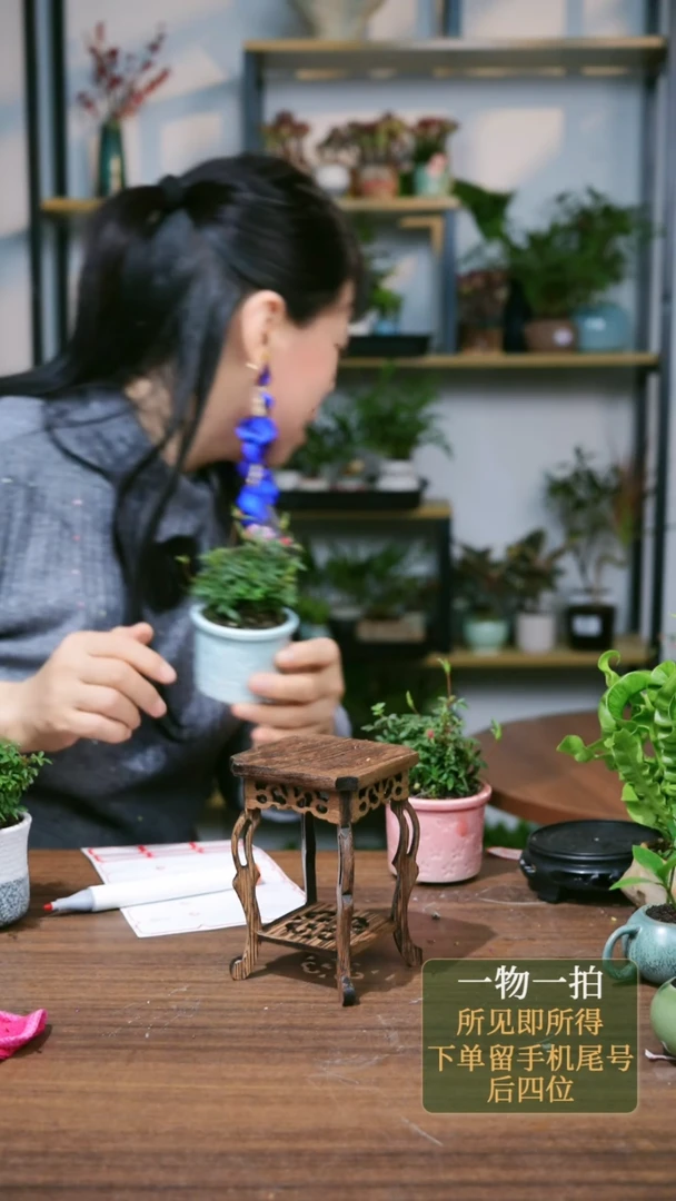 【闪购商品】92--8487蓝月季