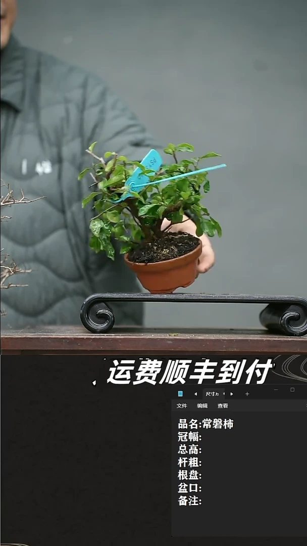 【闪购商品】26  常磐市