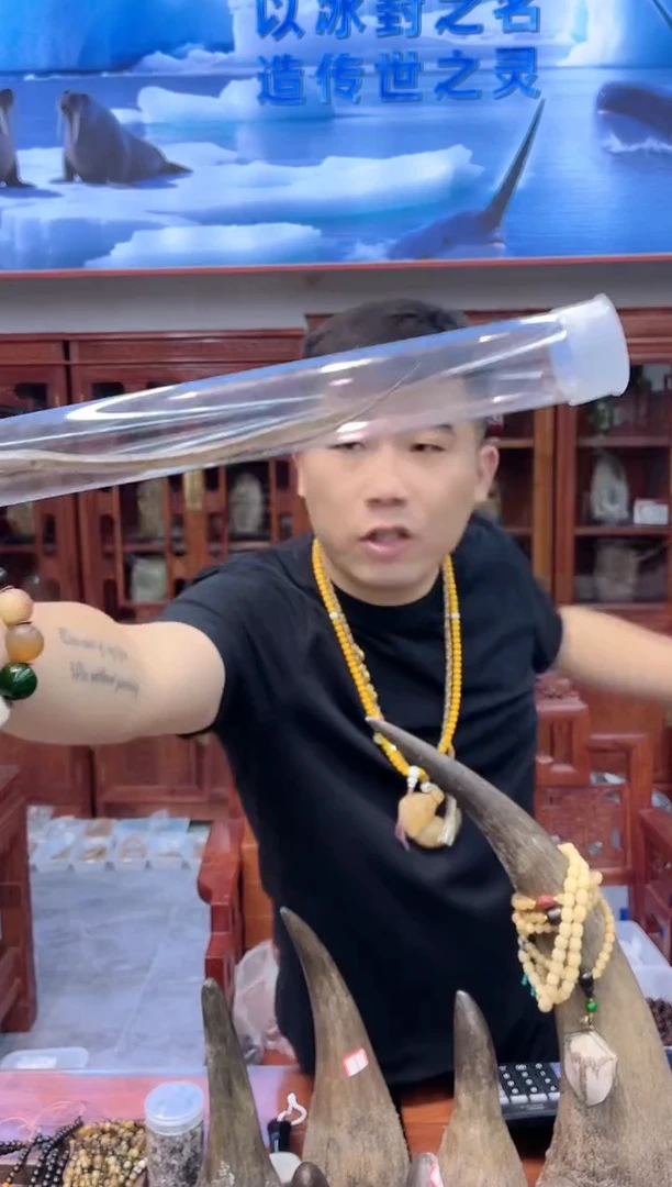 猛犸猛犸++++++24