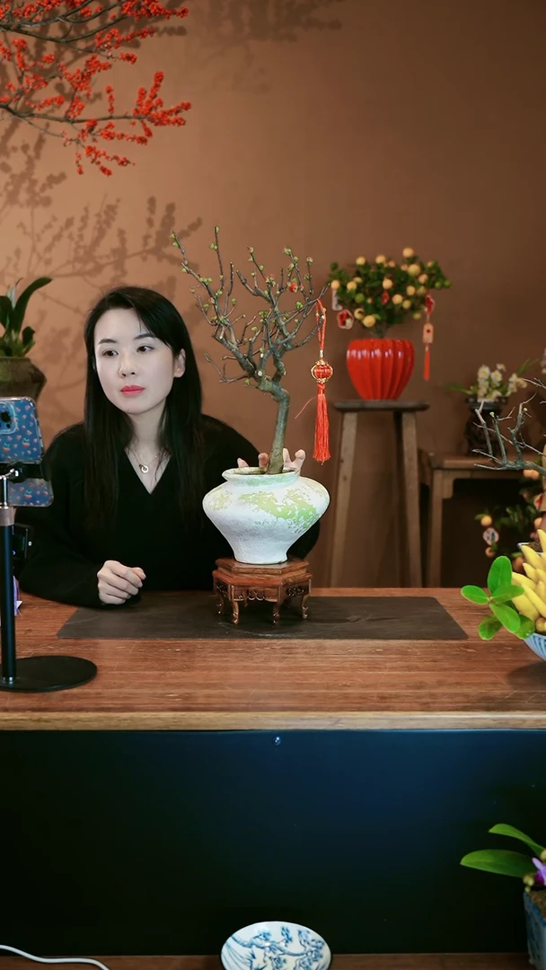 【闪购商品】盆景海棠花